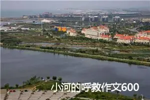 小河的呼救作文600字