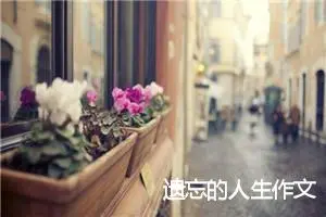 遗忘的人生作文