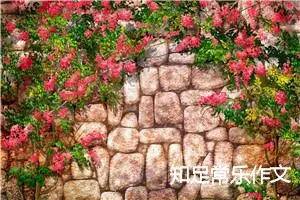 知足常乐作文