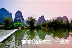 高考命题作文：一念花开_作文800字_高考命题作文