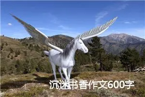 沉迷书香作文600字
