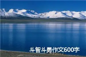 斗智斗勇作文600字