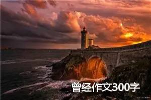 曾经作文300字