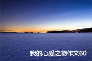 我的心爱之物作文600字左右