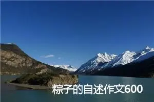 粽子的自述作文600字
