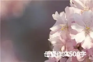 母爱作文500字