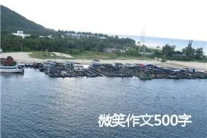 微笑作文500字