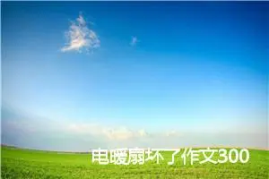 电暖扇坏了作文300字_小学二年级作文