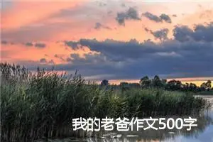 我的老爸作文500字_小学三年级作文