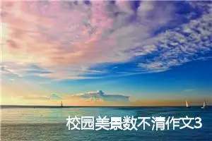 校园美景数不清作文300字_小学一年级作文