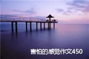 害怕的感觉作文450字