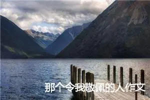 那个令我敬佩的人作文450字