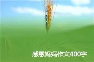 感恩妈妈作文400字_小学二年级作文