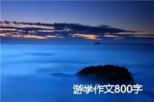 游学作文800字