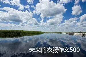 未来的衣服作文500字_小学三年级作文