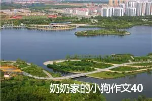 奶奶家的小狗作文400字_小学二年级作文