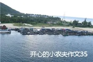 开心的小农夫作文350字_小学二年级作文