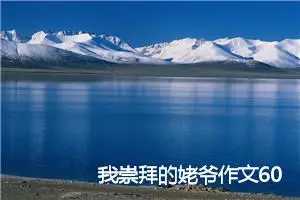 我崇拜的姥爷作文600字