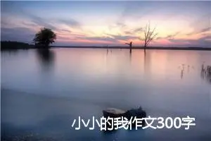 小小的我作文300字_小学二年级作文
