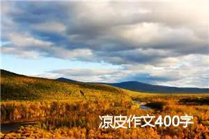 凉皮作文400字