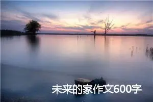 未来的家作文600字