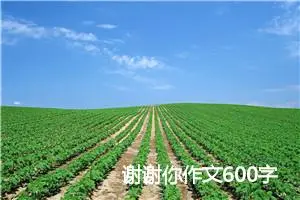 谢谢你作文600字