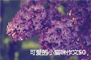 可爱的小猫咪作文500字_小学三年级作文