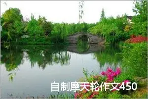 自制摩天轮作文450字_小学二年级作文