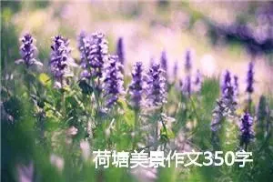 荷塘美景作文350字_小学二年级作文