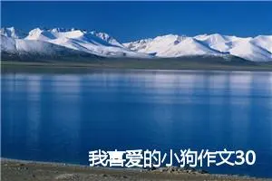 我喜爱的小狗作文300字_小学一年级作文