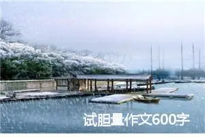 试胆量作文600字