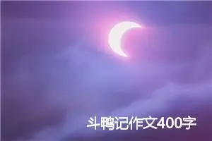 斗鸭记作文400字