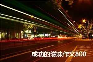 成功的滋味作文800字