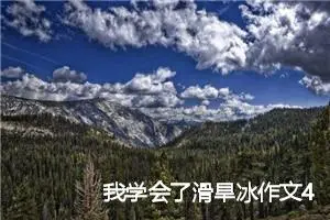 我学会了滑旱冰作文400字