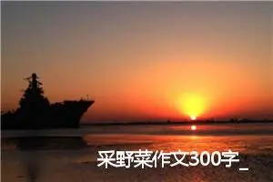 采野菜作文300字_小学二年级作文