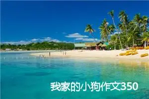 我家的小狗作文350字_小学一年级作文
