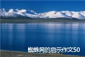 蜘蛛网的启示作文500字