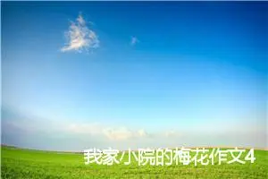 我家小院的梅花作文400字