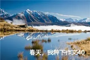 春天，我种下作文400字
