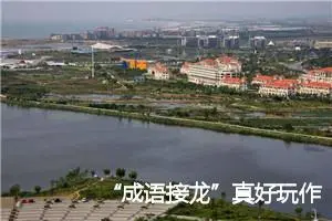 “成语接龙”真好玩作文500字_小学二年级作文