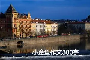 小金鱼作文300字_小学二年级作文