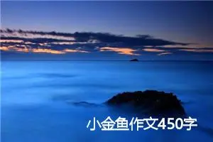 小金鱼作文450字