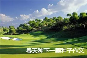 春天种下一颗种子作文800字