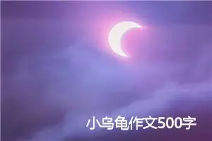 小乌龟作文500字