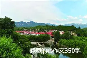 感恩的心作文350字_小学二年级作文