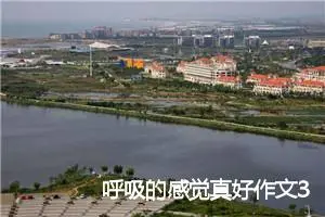呼吸的感觉真好作文300字_小学二年级作文