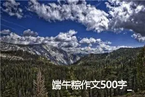端午粽作文500字_小学三年级作文