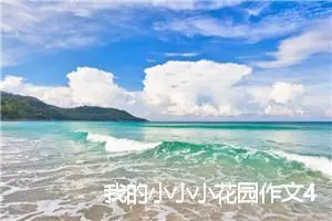 我的小小小花园作文400字_小学二年级作文