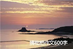 摘枇杷作文600字