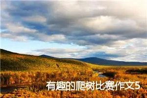有趣的爬树比赛作文500字_小学一年级作文